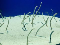 -上海海洋水族馆
