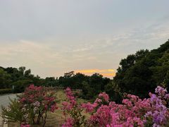 -钟山体育运动公园