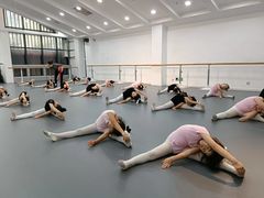 -西安小天鹅艺术团(曲江Alice店)