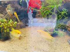 -牛品福潮汕牛肉火锅(旺庄店)