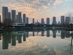 -青枫公园