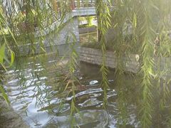 -济南方特东方神画