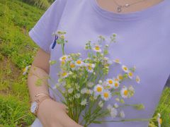 -大塘金香草谷