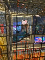 -嗨翻Hi-Fun竞技主题乐园·蹦床团建生日聚会(五棵松华熙店)