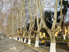 -T80科技文化国际社区-停车场