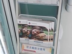 -欧奕国际动物医院