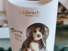 巴瑞牛奶榛子巧克力-Laderach 莱德拉(上海环贸iapm店)