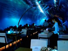 -涛·海底餐厅·美人鱼·自助餐·海底隧道(三亚海棠湾洲际度假酒店)