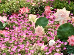 -长发西饼(道前店)