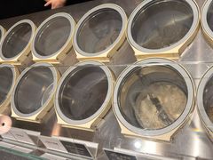 -Dip in Gelato(富民路店)