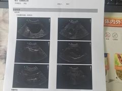 -美联众合动物医院·24h京西诊疗中心