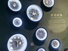 -中国湿地博物馆