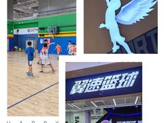 -翼速篮球·少儿篮球培训·中考体育(贵和店·原鲁能城店)
