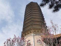 -八大处公园