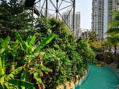 -亚马逊丛林水乐园