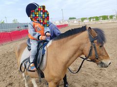 -北京群众马术培训基地