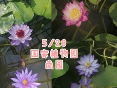 -国家植物园南园