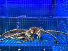 -启东小海鲜(庄先湾路1号店)