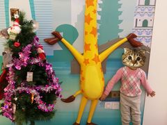 -TOYSRUS玩具反斗城(苏州中心店)