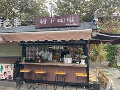 -树下咖啡(昆明老街店)