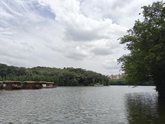 -三水森林公园