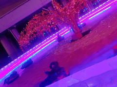 -沈阳奥体冰雪嘉年华