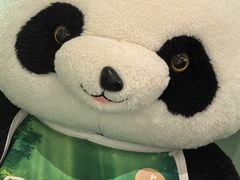-眉州东坡·熊猫主题餐厅(枫蓝店)