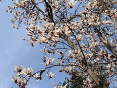 -南京市江宁方山