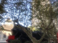-江墅铁路遗址公园