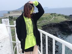 -涉地可支