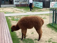 -太阳岛度假酒店