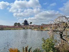 -上海海湾国家森林公园