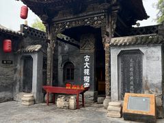 -大槐树寻根祭祖园