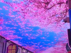 -恒峰步行街