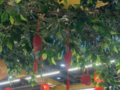 -成老灶火锅鸡(平山店)