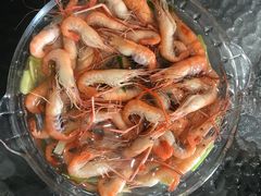 -呼吸森林·生态农庄农家乐私房菜