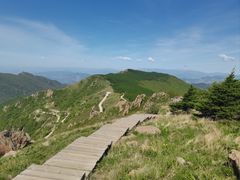 -白草畔自然风景区