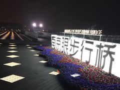 -南京眼步行桥
