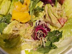 -北平盛世·新京菜·北京烤鸭(劲松·双井店)