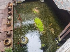 -几荷·恰似故人来(秀水广场店)