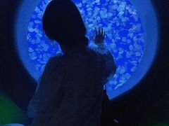 -江和美海洋公园