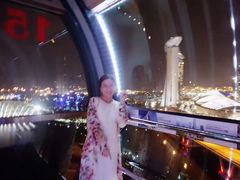 -新加坡摩天观景轮