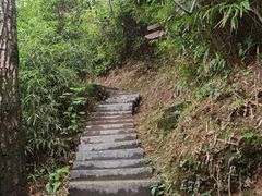 -南海湾森林生态园