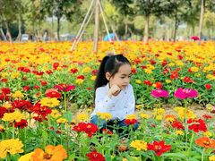 -艾溪湖湿地公园