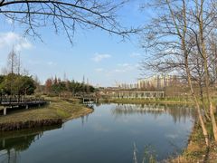 -眉山湿地公园(东坡区)