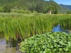 -门城湖公园