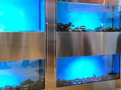 -mezza9 Macau(澳门君悦酒店)