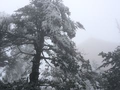 -峨嵋山金顶