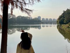 -东莞植物园