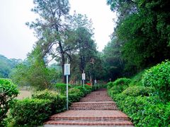 景点-三水森林公园